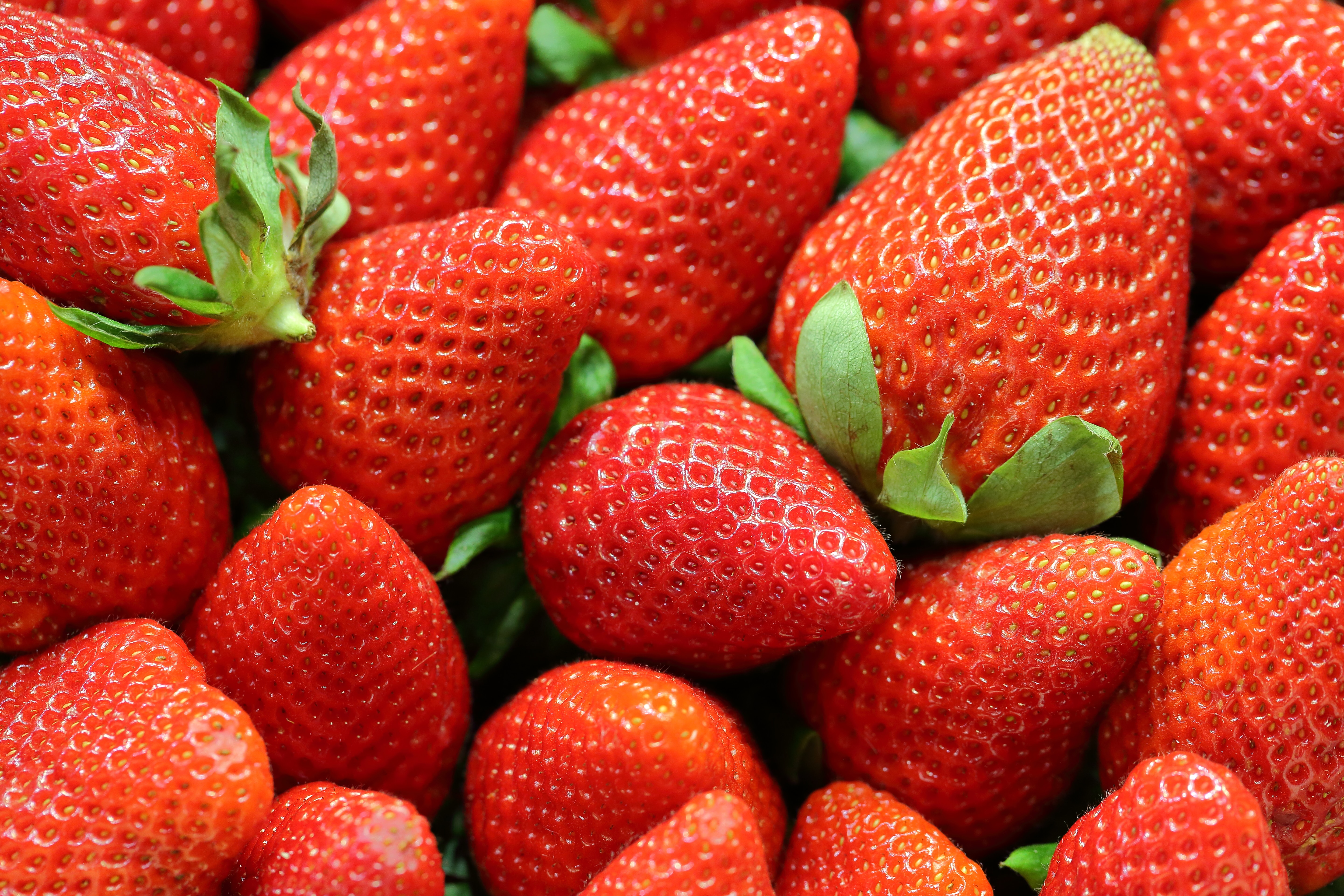 Fortimel Jucy - Mélange fraises & pommes